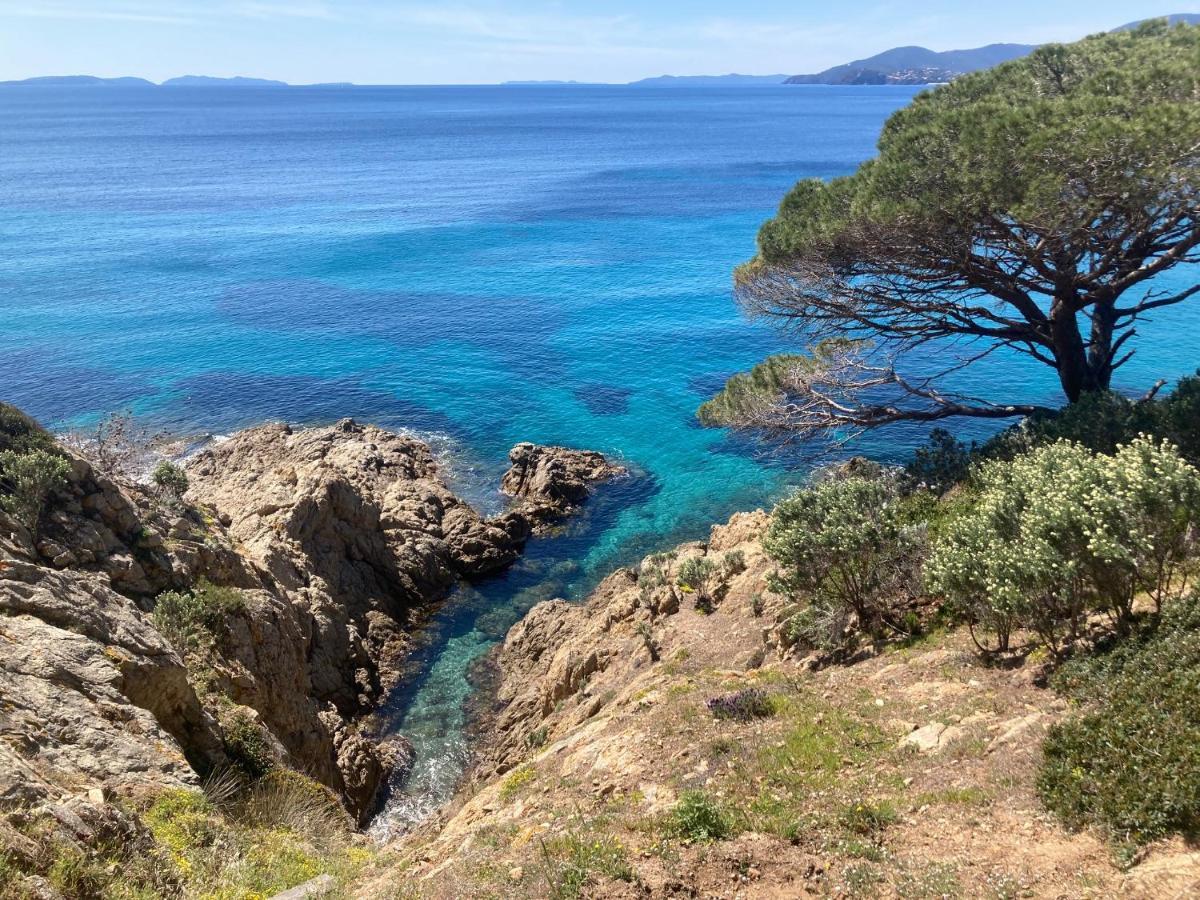 Le Petit Vue Mer La Croix-Valmer Zewnętrze zdjęcie